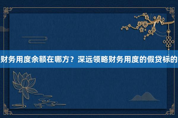 财务用度余额在哪方？深远领略财务用度的假贷标的