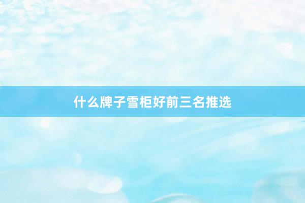 什么牌子雪柜好前三名推选