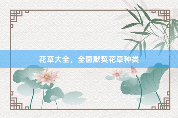 花草大全，全面默契花草种类
