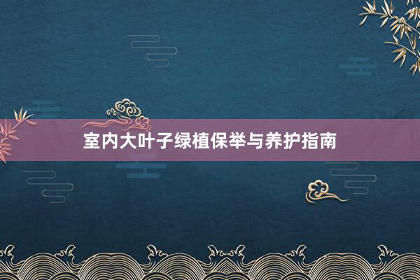 室内大叶子绿植保举与养护指南